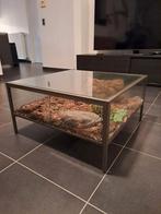 Salon tafel terrarium, Ophalen