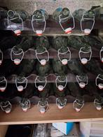 Flesjes, Ophalen of Verzenden, Glas