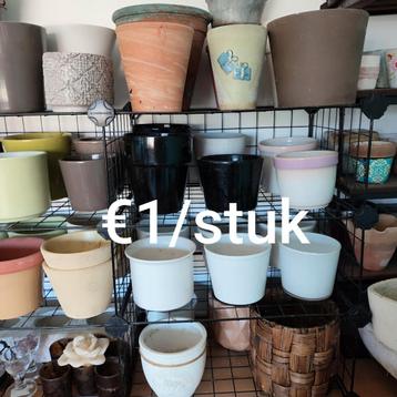 Diverse bloempotten  beschikbaar voor biedingen