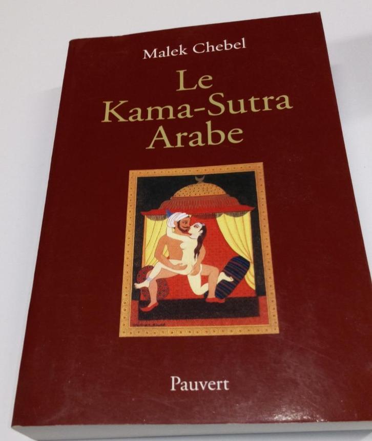 Le Kama-Sutra Arabe - CHEBEL - PAUVERT, Livres, Livres Autre, Enlèvement ou Envoi