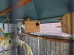 eekhoorn (wangzak)5 jongen van dit jaar, Dieren en Toebehoren, Knaagdieren