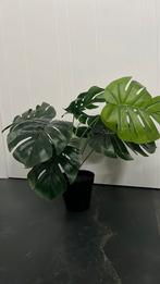 Plante artificielle monstera, Enlèvement ou Envoi, Comme neuf, Intérieur