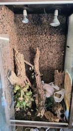 Groot terrarium 62 x 83 x 143, Dieren en Toebehoren, Ophalen, Gebruikt