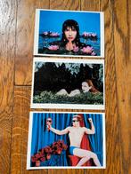 3 cartes postales Pierre et Gilles 1983/1984, Comme neuf