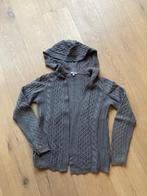 Massimo Dutti vest/trui met kap maat S, Kleding | Dames, Massimo Dutti, Ophalen of Verzenden, Maat 36 (S), Grijs