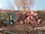 Brandhout Wilg, Kers, Den,  alles apart verkrijgbaar, 6 m³ of meer, Ophalen of Verzenden, Overige houtsoorten, Blokken