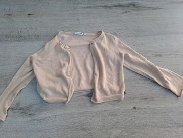 Gilet pour fête  beschikbaar voor biedingen