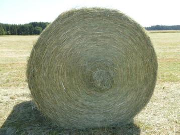 FOIN BIO 2023 SEC EN BOULE 360KGS EMBALLE beschikbaar voor biedingen