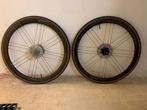 Campagnolo Shamal C21 DB Wheelset - 28" | Carbon, Campagnolo, Racefiets, Nieuw, Ophalen