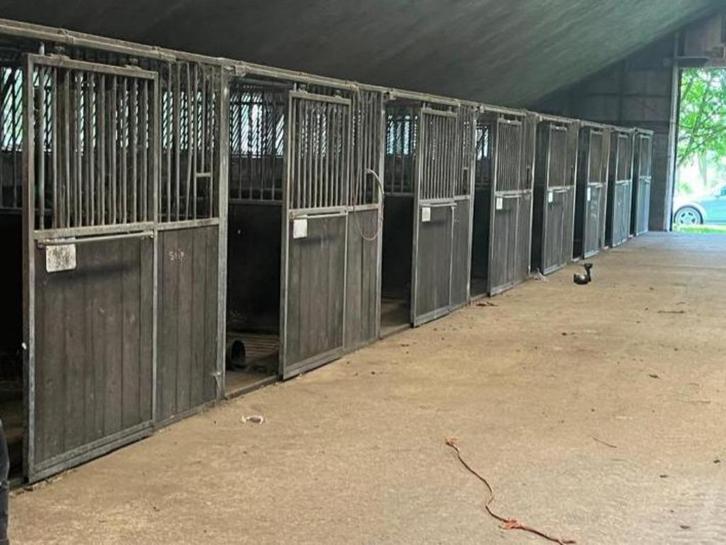 25 ruime paardenboxen | 3 x 3.5 meter | Hardhout, Dieren en Toebehoren, Stalling en Weidegang, Opfok, Stalling, Weidegang, Accessoires
