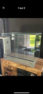 Terrarium, Dieren en Toebehoren, Reptielen en Amfibieën | Toebehoren, Ophalen, Zo goed als nieuw, Terrarium of Paludarium