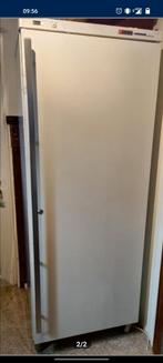 Liebherr gastroline koelkast, Elektronische apparatuur, Koelkasten en IJskasten, Ophalen, 200 liter of meer, 60 cm of meer, 160 cm of meer