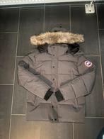 Canada Goose jas, Kleding | Heren, Maat 48/50 (M), Nieuw, Grijs, Canada goose