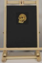 VANITAS REVISITED - nieuw, Ophalen of Verzenden, Nieuw