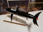 Duikboot Kuifje-Haai, Hobby en Vrije tijd, Modelbouw | Boten en Schepen, Ophalen, Nieuw, Groter dan 1:32, Overige merken
