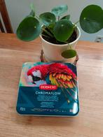 Derwent chromaflow 72 blik Nieuw in folie, Ophalen of Verzenden, Nieuw, Potlood of Stift