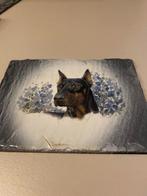 Beschilderde leisteentjes aan outletprijs., Dieren en Toebehoren, Honden-accessoires, Ophalen of Verzenden, Nieuw