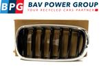 GRILLE LINKS ROOSTER NIEREN BMW X6 (F16) (01-2014/12-2019), Gebruikt, BMW