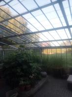 Druivenserre glas, Tuin en Terras, Ophalen of Verzenden, Zo goed als nieuw