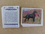 Dogs complete set 25 chromos honden REPRO Wills, Verzamelen, Ophalen of Verzenden, 1980 tot heden, Zo goed als nieuw, Dier