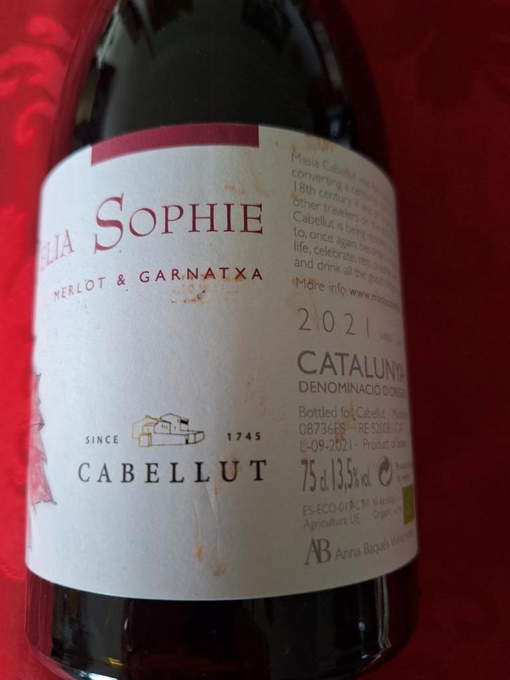 1 bouteille de vin espagnol Merlot et Garnatxa, 2021, Collections, Vins, Neuf, Vin rouge, Espagne, Pleine, Enlèvement