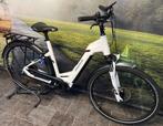 Pegasus Opero EVO 5F Elektrische fiets met RIEM-aandrijving, Fietsen en Brommers, Overige merken, Ophalen of Verzenden, Zo goed als nieuw