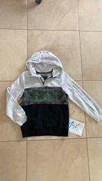 Skate Jongens Hoodie maat 146, Enfants & Bébés, Vêtements enfant | Taille 146, Enlèvement, Utilisé, Garçon, Pull ou Veste