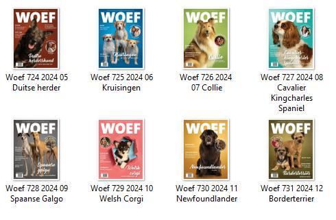 Woef magazines 2024 (8 stuks), Boeken, Dieren en Huisdieren, Zo goed als nieuw, Honden, Ophalen