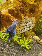 Betta, Dieren en Toebehoren