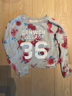 Trui 146, Kinderen en Baby's, Kinderkleding | Maat 146, Ophalen of Verzenden