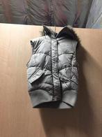 Bodywarmer, Kleding | Dames, Bodywarmers, Gedragen, Beige, Maat 38/40 (M), Ophalen of Verzenden