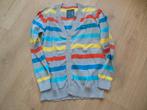 golf WE 146-152 in nieuwstaat, Enfants & Bébés, Vêtements enfant | Taille 146, Garçon, WE, Enlèvement ou Envoi, Pull ou Veste