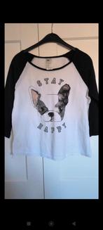 Shirtje small, Ophalen of Verzenden, Zo goed als nieuw