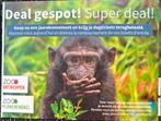 5 Tickets Planckendael Mechelen of Zoo van Antwerpen, Tickets en Kaartjes, Drie personen of meer, Ticket of Toegangskaart