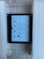 Zoetwater lamp aquarium, Ophalen of Verzenden