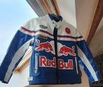 RedBull Vintage Collector leren motorjas, Kleding | Dames, Jassen | Zomer, Ophalen, Blauw, Maat 36 (S), Gedragen