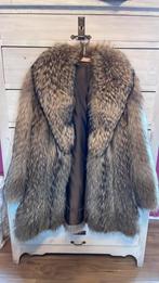 Magnifique veste en fourrure tanuki. Mooie bontjas., Vêtements | Femmes, Vestes | Hiver, Enlèvement ou Envoi, Porté, Taille 42/44 (L)