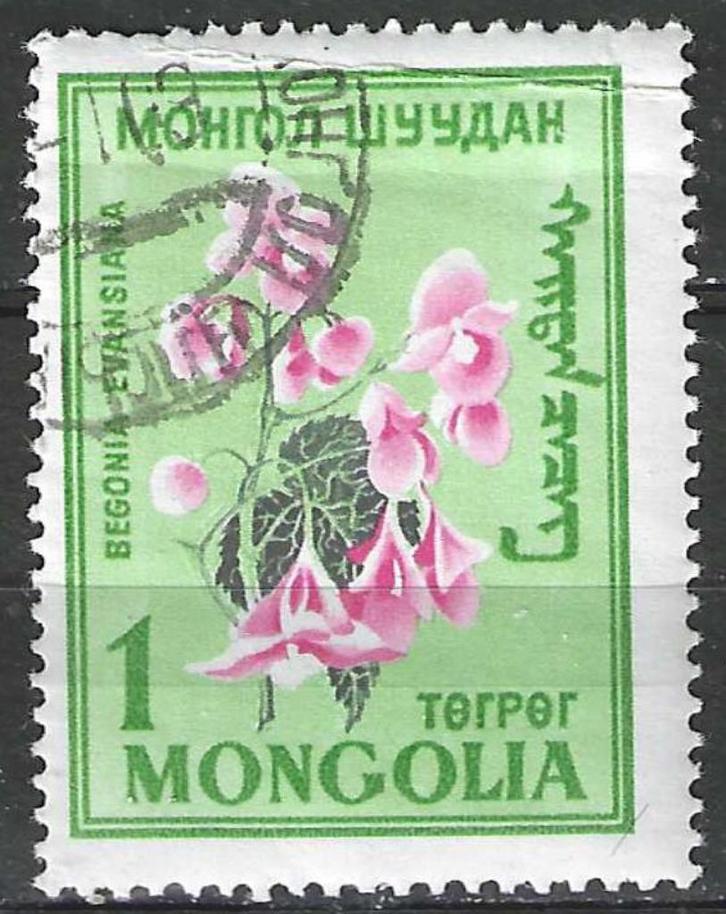 Mongolie 1960 - Yvert 170 - Bloemen - Begonia evansiana (ST), Postzegels en Munten, Postzegels | Azië, Gestempeld, Verzenden