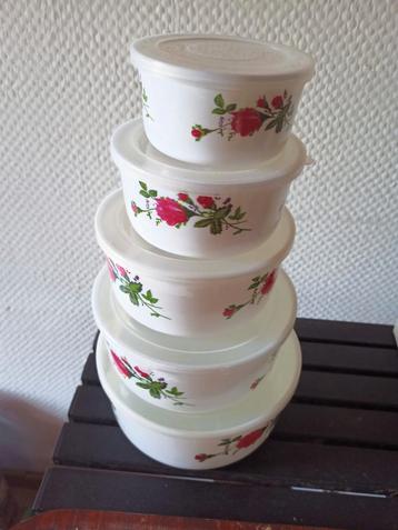 Set de 5 bols en melamine beschikbaar voor biedingen