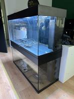 Juwel Rio 180 met Helialux Spectrum en Smart Heater, Ophalen, Zo goed als nieuw, Leeg aquarium