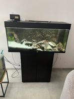 Aquarium juwel rio 180 met leds en voederautomaat, Enlèvement, Comme neuf, Aquarium vide