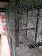 Voliere, Dieren en Toebehoren, Vogels | Hokken en Kooien, Ophalen, Gebruikt, Hout, Volière