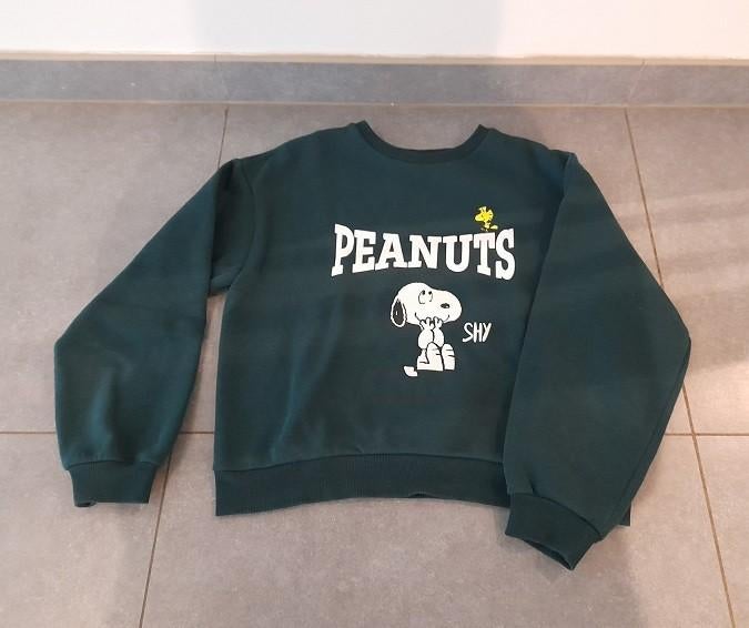 Groene sweater Peanuts, Kleding | Dames, Truien en Vesten, Maat 38/40 (M), Ophalen of Verzenden, Zo goed als nieuw, C&A