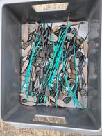 Een bak vol karperlood, Watersport en Boten, Ophalen