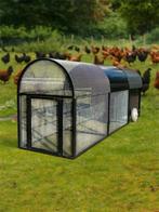 kippenren calimero aluminium voorzetren medium 2 meter