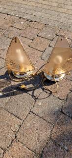 Nacht lampjes, Enlèvement