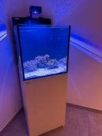 Red Sea MAX NANO G2 XL, Ophalen, Nieuw, Leeg aquarium