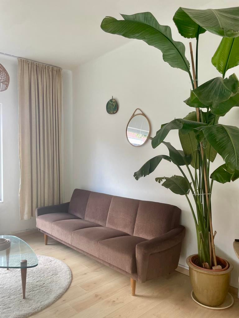 Vintage zetelbed Mid century design, Enlèvement, Utilisé