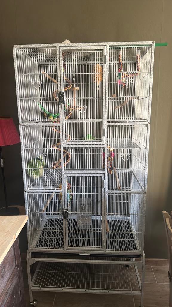 Vogel kooi, Ophalen, Zo goed als nieuw, Metaal, Vogelkooi