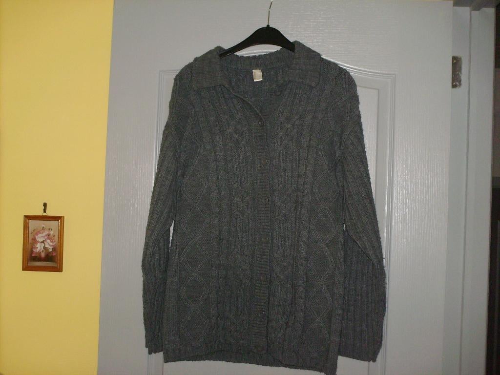 a vendre pull gilet pour dame, Kleding | Dames, Truien en Vesten, Maat 38/40 (M), 3 suisses, Nieuw, Ophalen of Verzenden
